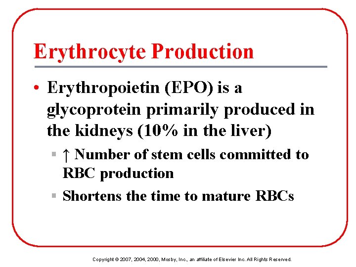 Erythrocyte Production • Erythropoietin (EPO) is a glycoprotein primarily produced in the kidneys (10%