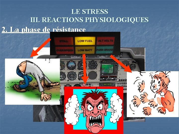 LE STRESS III. REACTIONS PHYSIOLOGIQUES 2. La phase de résistance 