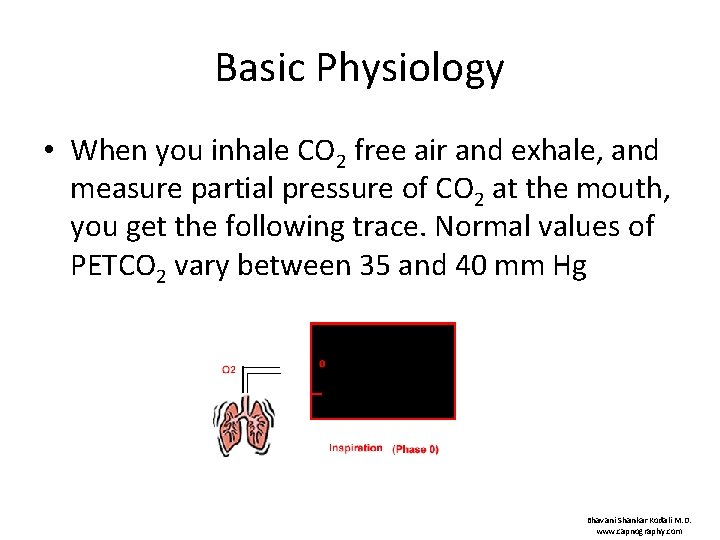 Basic Physiology • When you inhale CO 2 free air and exhale, and measure