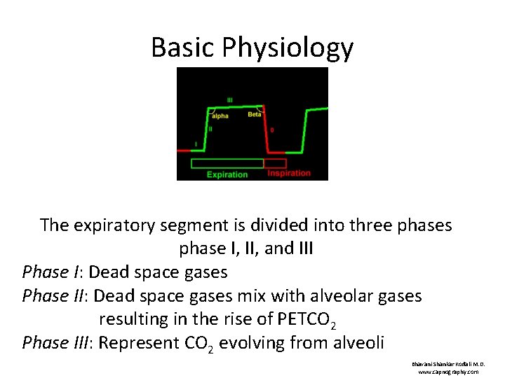 Basic Physiology The expiratory segment is divided into three phases phase I, II, and