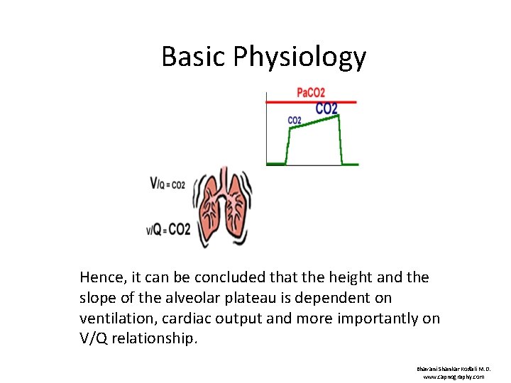 Basic Physiology Hence, it can be concluded that the height and the slope of