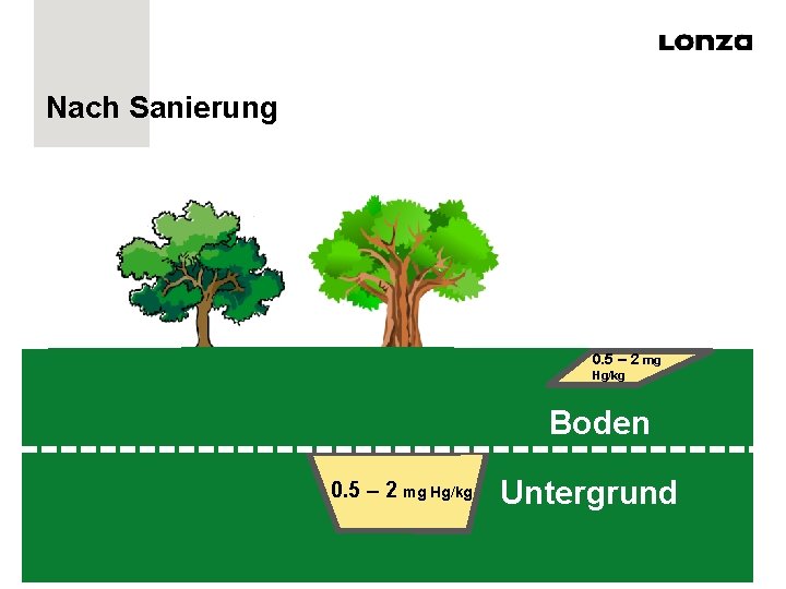 Nach Sanierung 0. 5 – 2 mg Hg/kg Boden 0. 5 – 2 mg