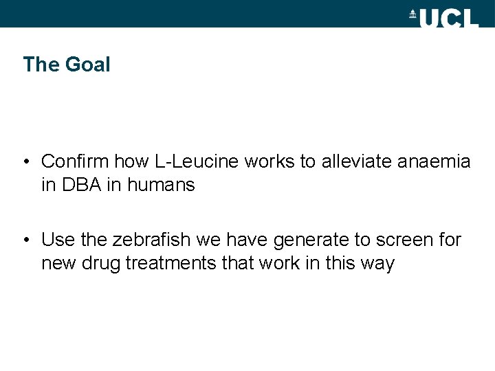 The Goal • Confirm how L-Leucine works to alleviate anaemia in DBA in humans