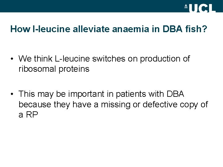 How l-leucine alleviate anaemia in DBA fish? • We think L-leucine switches on production