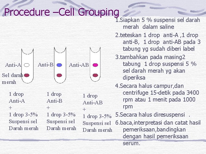 Procedure –Cell Grouping 1. Siapkan 5 % suspensi sel darah merah dalam saline 2.