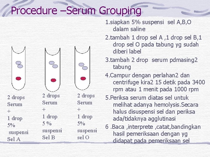 Procedure –Serum Grouping 2 drops Serum + 1 drop 5% suspensi Sel A 2