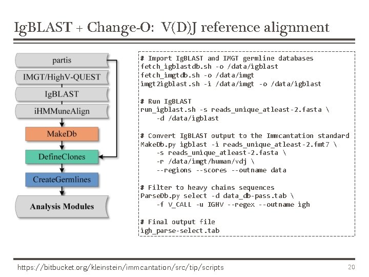 Ig. BLAST + Change-O: V(D)J reference alignment # Import Ig. BLAST and IMGT germline