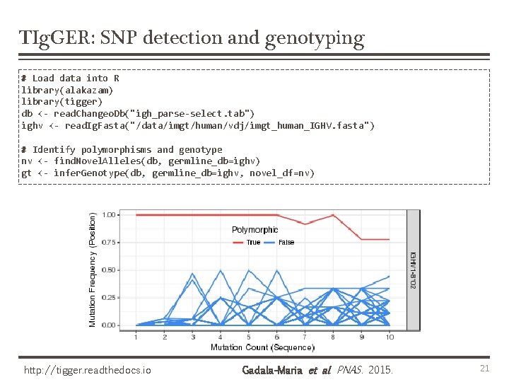 TIg. GER: SNP detection and genotyping # Load data into R library(alakazam) library(tigger) db