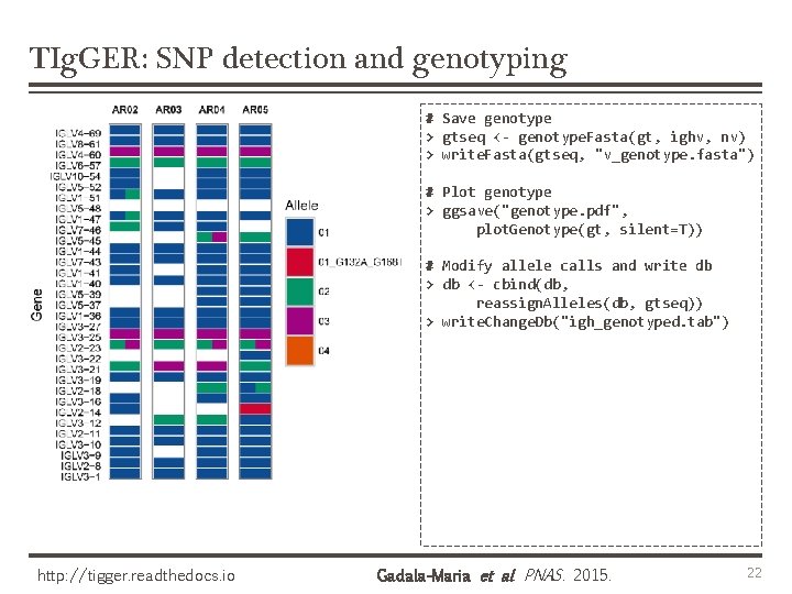 TIg. GER: SNP detection and genotyping # Save genotype > gtseq <- genotype. Fasta(gt,