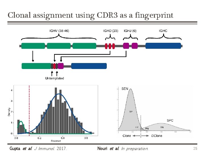 Clonal assignment using CDR 3 as a fingerprint Gupta et al. J Immunol. 2017.