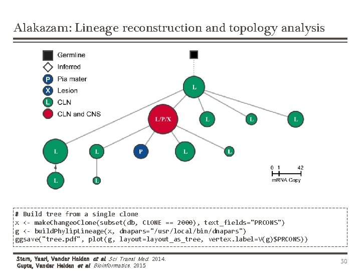 Alakazam: Lineage reconstruction and topology analysis # Build tree from a single clone x