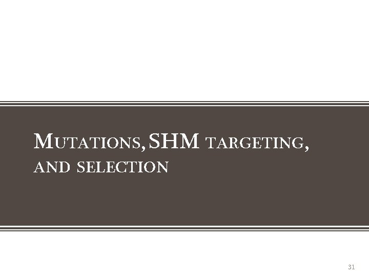 MUTATIONS, SHM TARGETING, AND SELECTION 31 