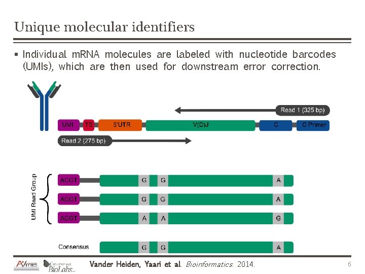 Unique molecular identifiers § Individual m. RNA molecules are labeled with nucleotide barcodes (UMIs),