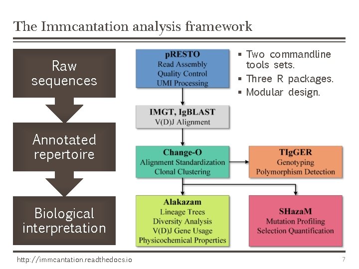 The Immcantation analysis framework Raw sequences § Two commandline tools sets. § Three R