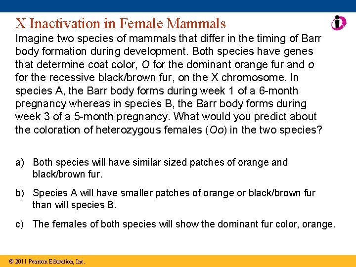 X Inactivation in Female Mammals Imagine two species of mammals that differ in the