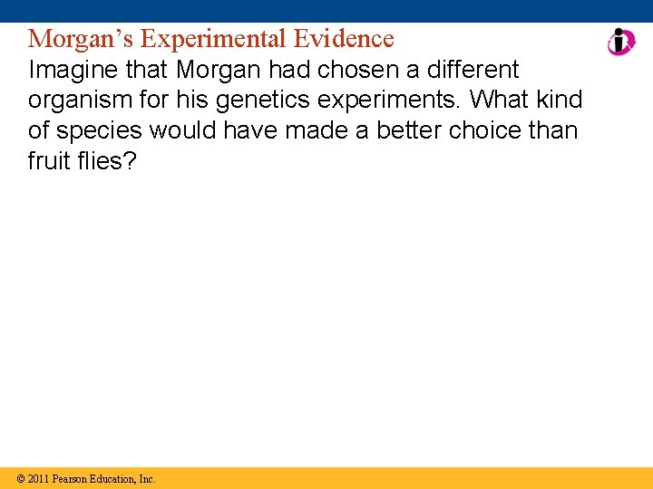 Morgan’s Experimental Evidence Imagine that Morgan had chosen a different organism for his genetics