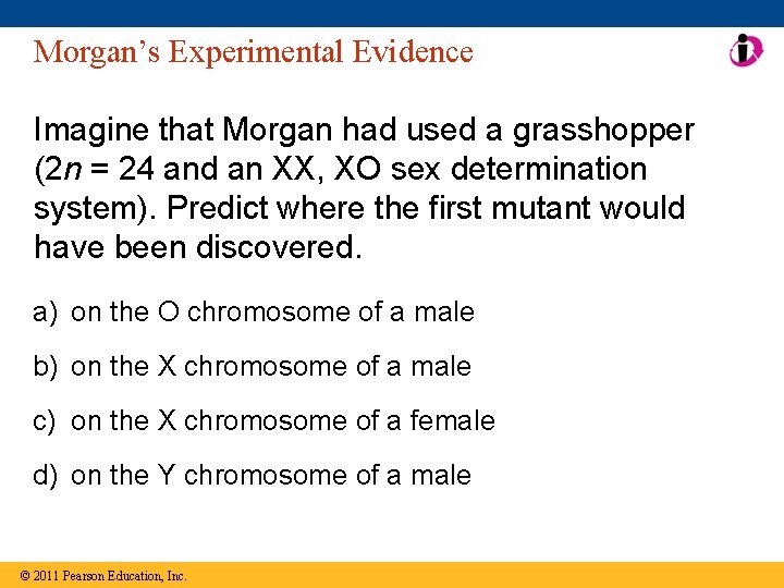 Morgan’s Experimental Evidence Imagine that Morgan had used a grasshopper (2 n = 24