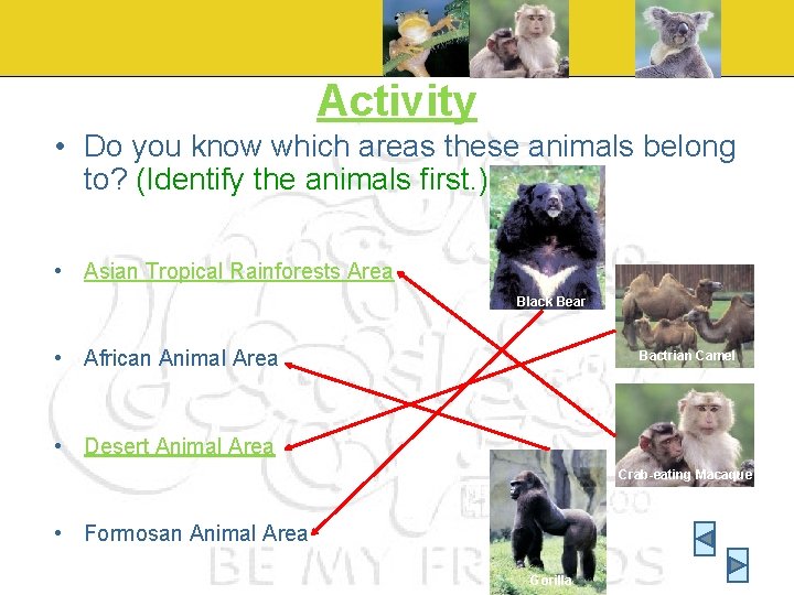 Activity • Do you know which areas these animals belong to? (Identify the animals