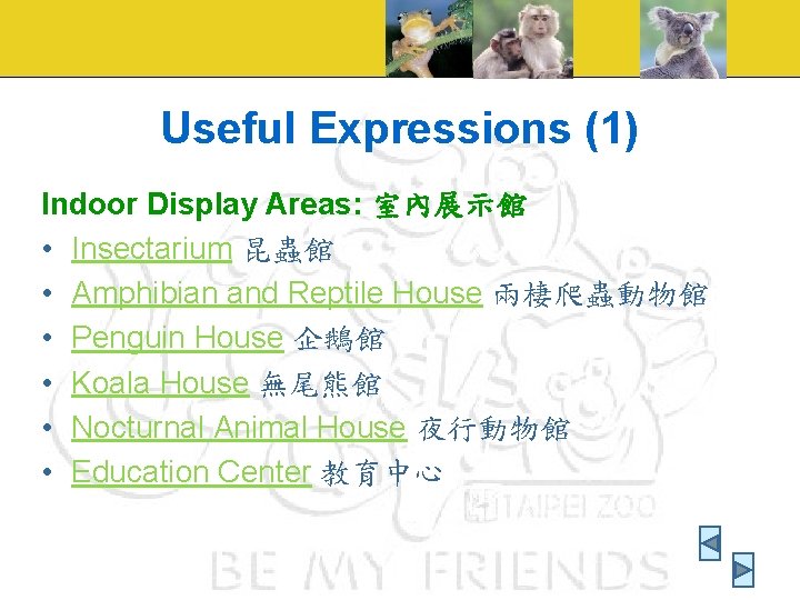 Useful Expressions (1) Indoor Display Areas: 室內展示館 • Insectarium 昆蟲館 • Amphibian and Reptile