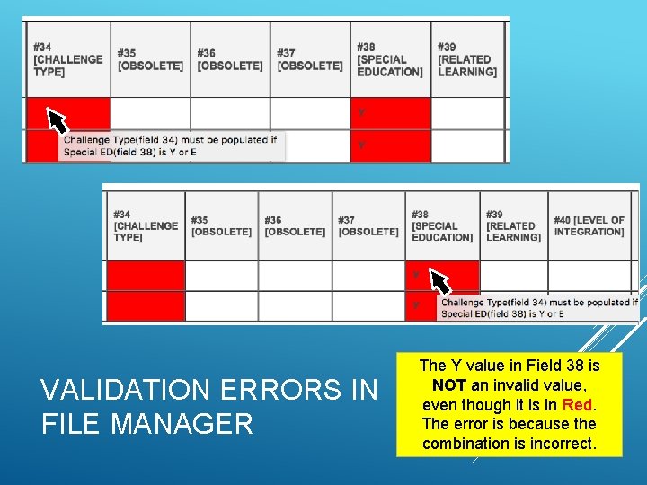 VALIDATION ERRORS IN FILE MANAGER The Y value in Field 38 is NOT an