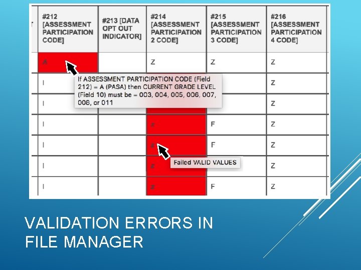 VALIDATION ERRORS IN FILE MANAGER 