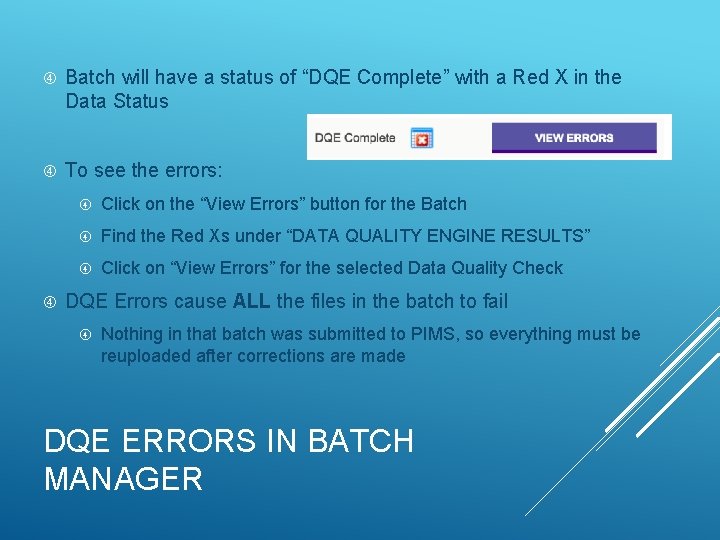  Batch will have a status of “DQE Complete” with a Red X in