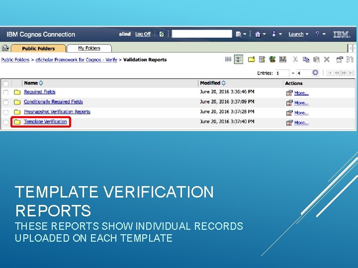 TEMPLATE VERIFICATION REPORTS THESE REPORTS SHOW INDIVIDUAL RECORDS UPLOADED ON EACH TEMPLATE 