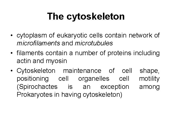 The cytoskeleton • cytoplasm of eukaryotic cells contain network of microfilaments and microtubules •