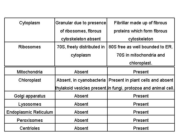 Cytoplasm Ribosomes Granular due to presence Fibrillar made up of fibrous of ribosomes, fibrous Cytoplasm Ribosomes Granular due to presence Fibrillar made up of fibrous of ribosomes, fibrous