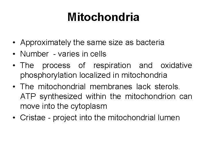 Mitochondria • Approximately the same size as bacteria • Number - varies in cells