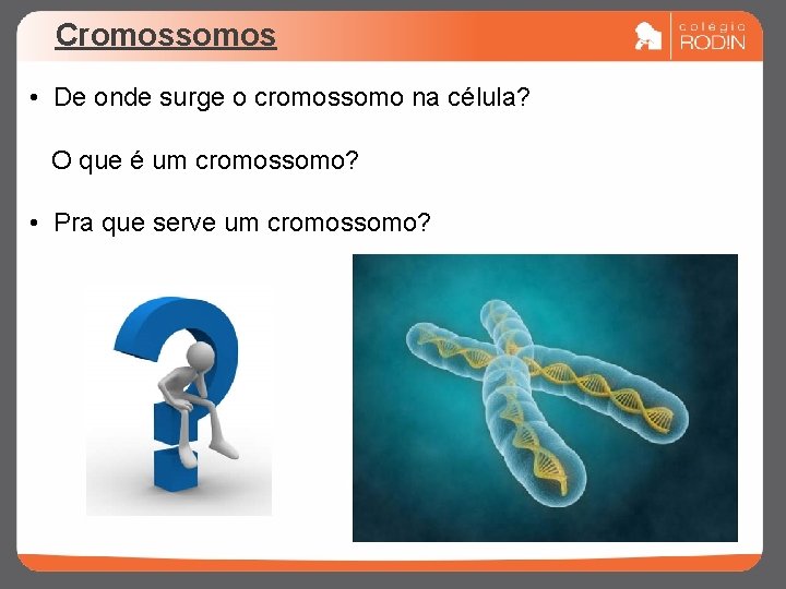 Cromossomos • De onde surge o cromossomo na célula? O que é um cromossomo?