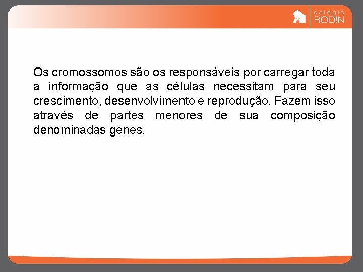 Os cromossomos são os responsáveis por carregar toda a informação que as células necessitam