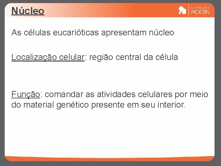 Núcleo As células eucarióticas apresentam núcleo Localização celular: região central da célula Função: comandar