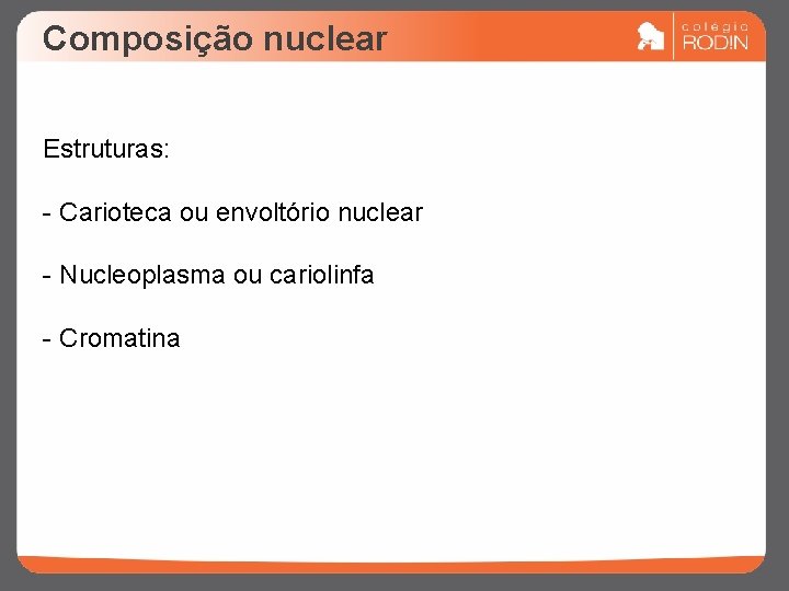Composição nuclear Estruturas: - Carioteca ou envoltório nuclear - Nucleoplasma ou cariolinfa - Cromatina