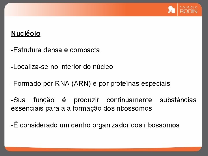 Nucléolo -Estrutura densa e compacta -Localiza-se no interior do núcleo -Formado por RNA (ARN)