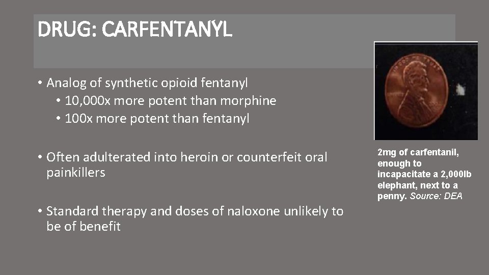 DRUG: CARFENTANYL • Analog of synthetic opioid fentanyl • 10, 000 x more potent
