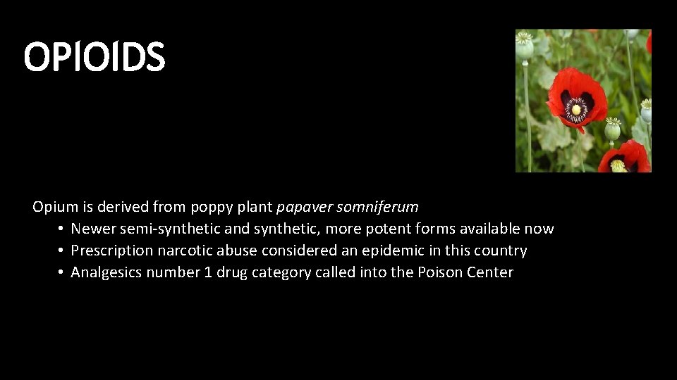 OPIOIDS Opium is derived from poppy plant papaver somniferum • Newer semi-synthetic and synthetic,