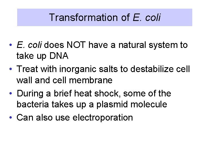 Transformation of E. coli • E. coli does NOT have a natural system to