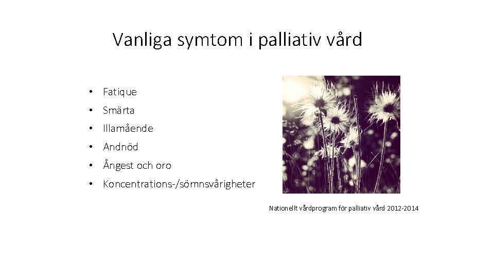 Vanliga symtom i palliativ vård • Fatique • Smärta • Illamående • Andnöd •