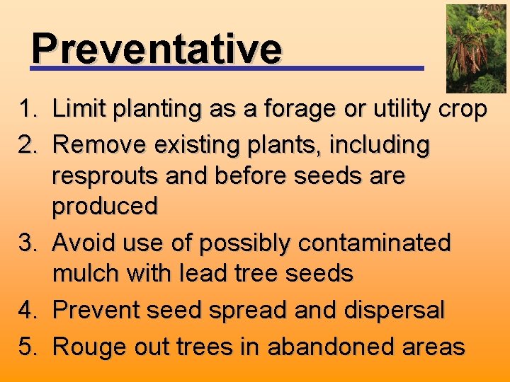 Preventative 1. Limit planting as a forage or utility crop 2. Remove existing plants,