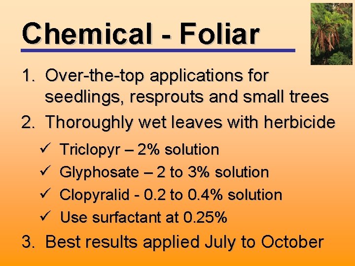 Chemical - Foliar 1. Over-the-top applications for seedlings, resprouts and small trees 2. Thoroughly