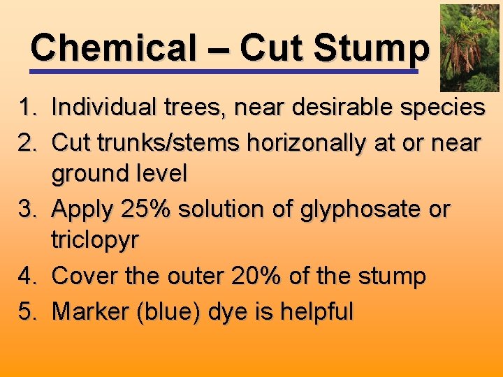 Chemical – Cut Stump 1. Individual trees, near desirable species 2. Cut trunks/stems horizonally