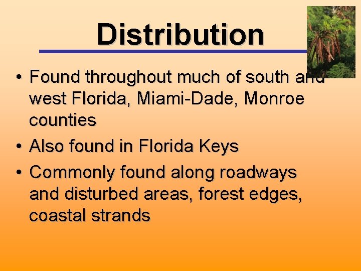 Distribution • Found throughout much of south and west Florida, Miami-Dade, Monroe counties •