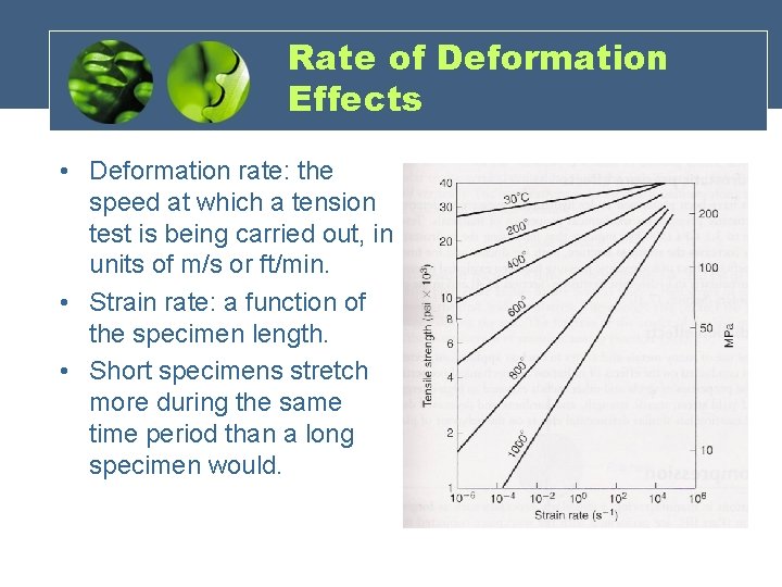 Rate of Deformation Effects • Deformation rate: the speed at which a tension test