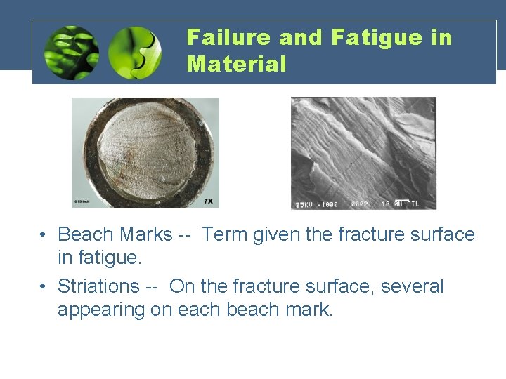 Failure and Fatigue in Material • Beach Marks -- Term given the fracture surface