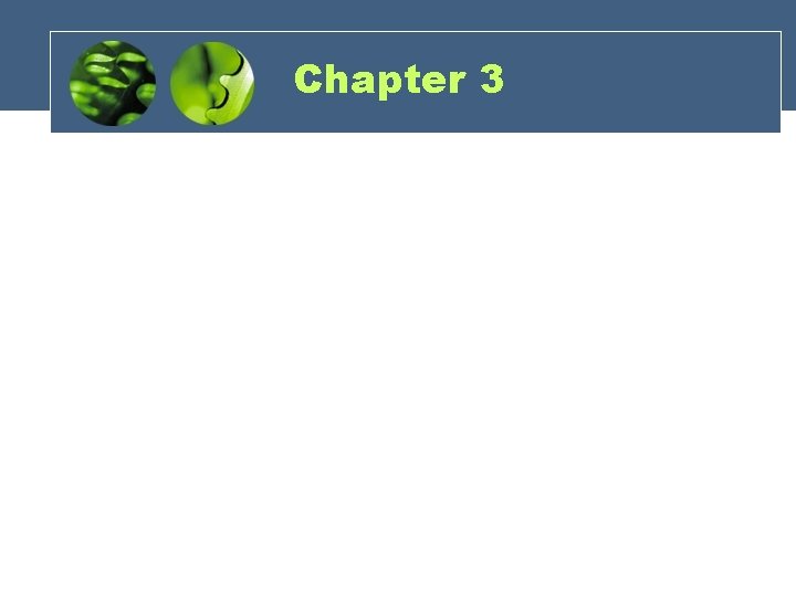 Chapter 3 