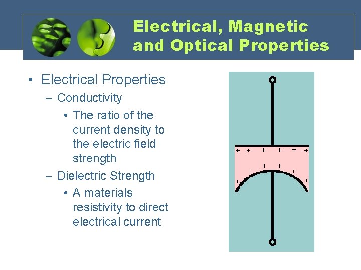 Electrical, Magnetic and Optical Properties • Electrical Properties – Conductivity • The ratio of