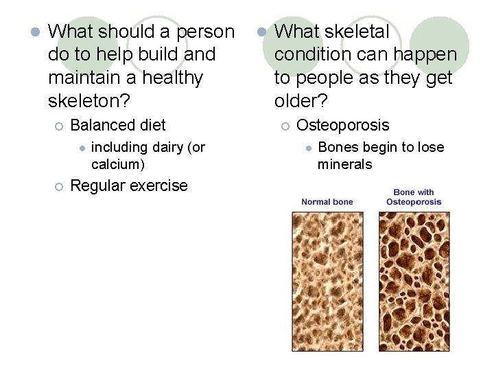 l What should a person do to help build and maintain a healthy skeleton?