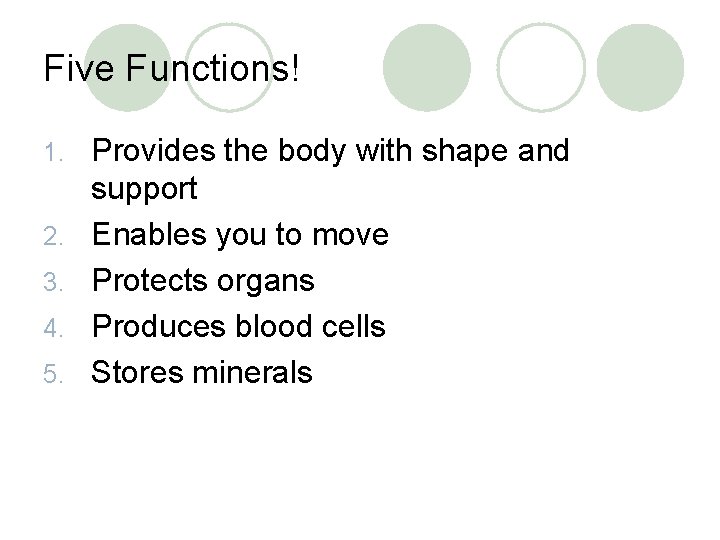 Five Functions! 1. 2. 3. 4. 5. Provides the body with shape and support