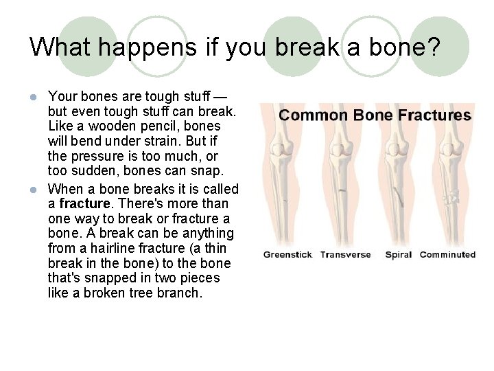 What happens if you break a bone? Your bones are tough stuff — but